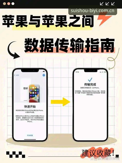 必一娱乐中文官方站苹果版使用指南：从下载到日常陪伴的完整路径